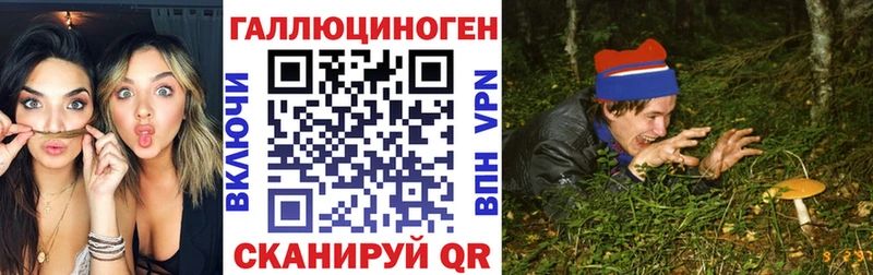 Галлюциногенные грибы прущие грибы  где найти   Ногинск 