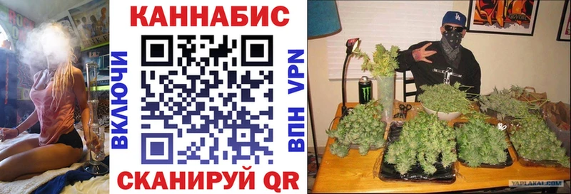 Бошки Шишки Bruce Banner  hydra ссылки  Ногинск  закладки 